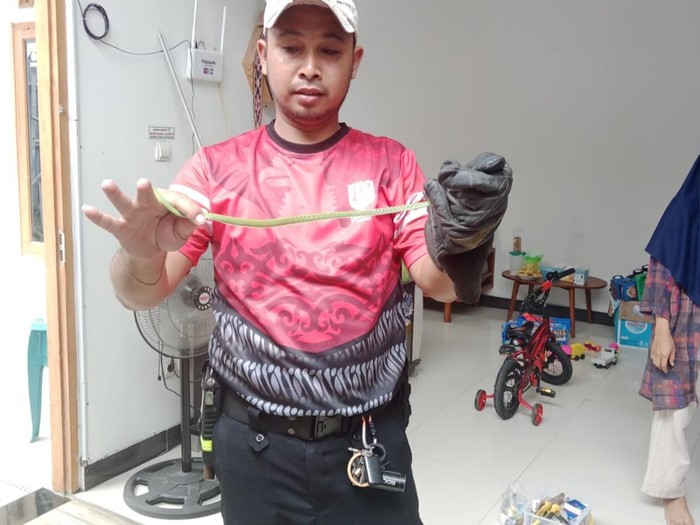 Anggota damkar saat berusaha mengevakuasi ular gadung yang muncul dari dalam mesin cuci warga Desa Bangsalan, Teras, Boyolali, Kamis (18/9/2025).