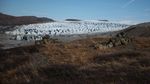 Pasukan Eropa Unjuk Kekuatan di Kawasan Es Greenland