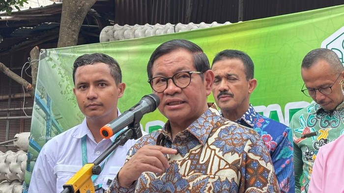 Gubernur DKI Jakarta Pramono Anung meninjau pertanian vertikal atau ladang hidroponik di kawasan Cilandak, Jakarta Selatan