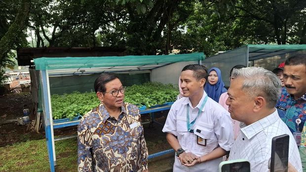 Gubernur DKI Jakarta Pramono Anung meninjau pertanian vertikal atau ladang hidroponik di kawasan Cilandak, Jakarta Selatan