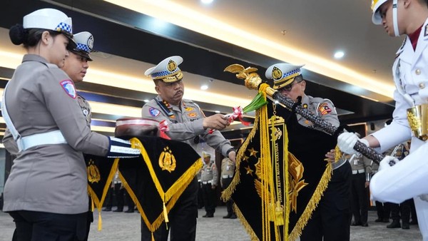 Mayodan mushukni korishingiz mumkin