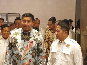 Ara-REI Patungan Rp 5,5 Miliar buat Renovasi Rumah, Setara 220 Unit