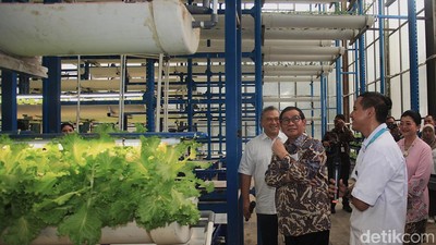 Pertanian Hidroponik Cilandak Jadi Sorotan Gubernur Pramono