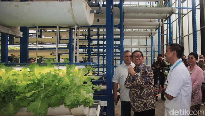 Pertanian Hidroponik Cilandak Jadi Sorotan Gubernur Pramono Gubernur DKI Jakarta Pramono Anung didampingi istrinya, Endang Nugrahani, meninjau pertanian vertikal di kawasan Cilandak, Jakarta Selatan, Kamis (18/9/2025).