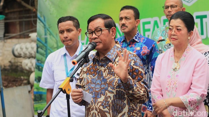 Pertanian Hidroponik Cilandak Jadi Sorotan Gubernur Pramono Gubernur DKI Jakarta Pramono Anung didampingi istrinya, Endang Nugrahani, meninjau pertanian vertikal di kawasan Cilandak, Jakarta Selatan, Kamis (18/9/2025).