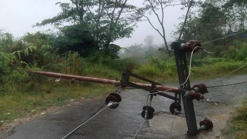 Tiang listrik di ruas jalan Tentang-Sirimese, Kecamatan Ndoso, Manggarai Barat, Nusa Tenggara Timur (NTT), tumbang, Kamis (18/9/2025) sore. (Foto: Istimewa)