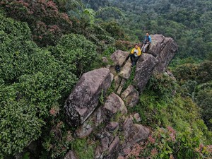 Selain di Cianjur, Ternyata Gunung Padang Ada di 3 Lokasi Ini