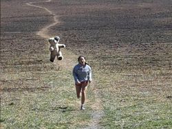 Netizen Beraksi! Hasil Editan Photoshop Ini Kocak dan Kreatif