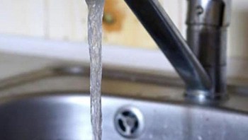 Gaes, aku takut air, jadi tolong edit fotoku ini dan taruh di sebuah sungai/lautan, mohon netizen yang satu ini. Foto: Uzzi Mtumbi via Bored Panda