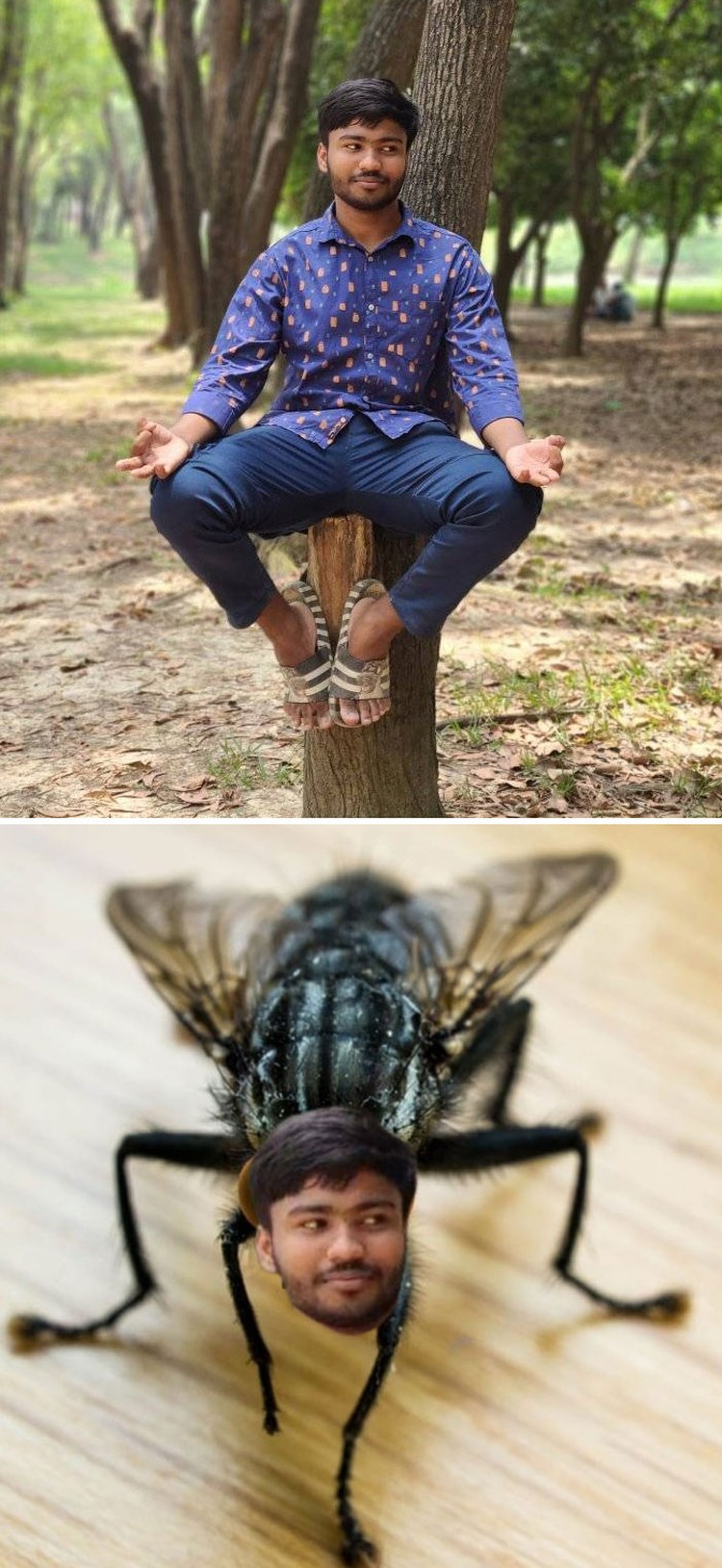 Deretan foto hasil editan Photoshop ini benar-benar kreatif banget. Ada yang diedit sesuai permintaan, tapi tak sedikit yang jadi absurd.
