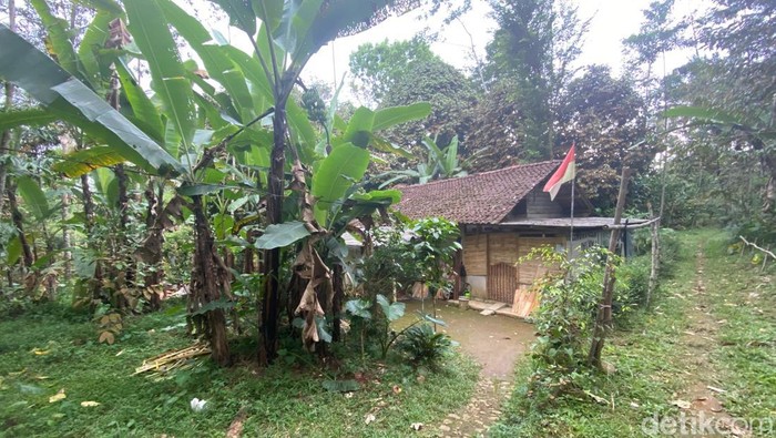 Rumah persembunyian Iwan pelaku pembunuhan terhadap Serda RS anggota TNI di Dusun Siwiu Kelurahan Kepil, Kecamatan Kepil Wonosobo.
