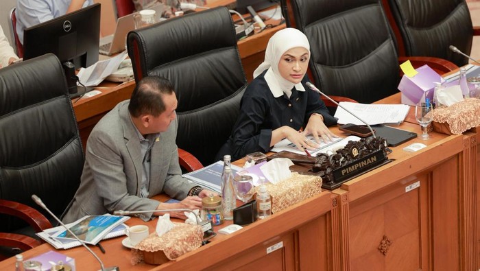 Wakil Ketua Komisi XII DPR RI Putri Zulkifli Hasan