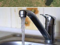 Master Photoshop Ubah Editan Foto Kocak Bikin Ngakak