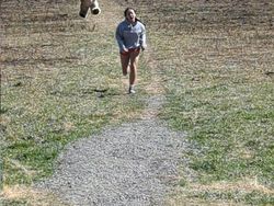 Master Photoshop Ubah Editan Foto Kocak Bikin Ngakak