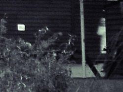 Kamera Ini Berhasil Rekam Sosok Misterius yang Bikin Merinding