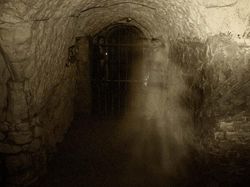 Kamera Ini Berhasil Rekam Sosok Misterius yang Bikin Merinding