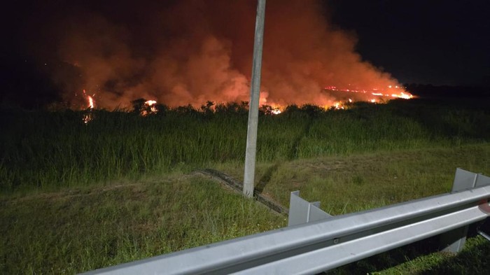 Karhutla di dekat Tol Palindra.