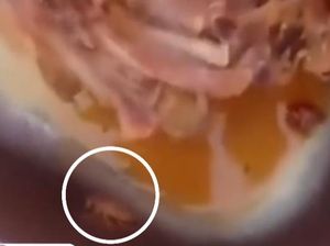 KPPG Sebut Serangga di MBG SMA Batam Bukan Kecoa tapi Jangkrik