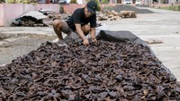 Petrus, warga Kawasi asli yang sekarang memilih menetap di Blok G2 Nomor 2 Kawasi Baru berprofesi sebagai petani Kopra.Petrus mengatakn, sejak setahun terakhir tinggal di Kawasi Baru, taraf hidupnya mulai membaik. Sarana dan Pra sarana yang ada di Kawasi Baru membuatnya dan keluarganya betah tinggal ditempat ini.