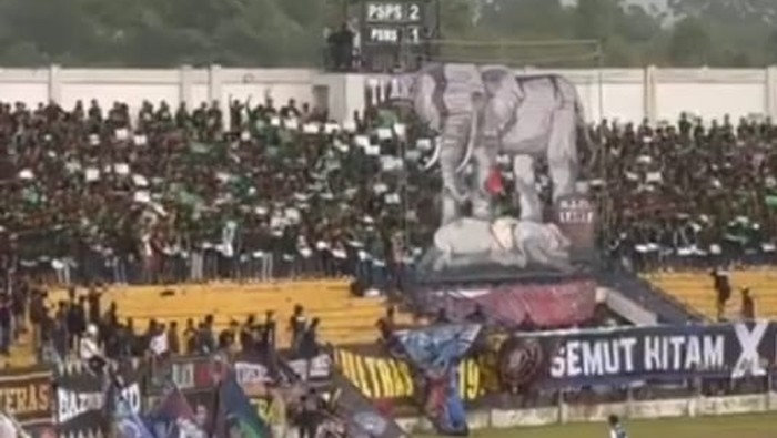 Momen suporter PSPS mengenang gajah Tari dan kampanye Save Tesso Nilo, Sabtu (20/9/2025).