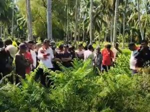 Jejak Mencurigakan Kematian Karyawati Koperasi di Pasangkayu