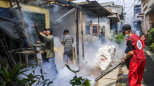 Waspada DBD, Pemukiman Padat di Jakarta Disemprot Asap Anti Nyamuk