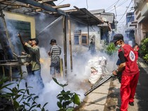 Waspada DBD, Pemukiman Padat di Jakarta Disemprot Asap Anti Nyamuk