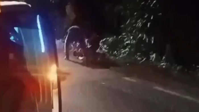 Preman saat diciduk polisi di Lampung.