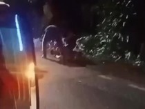 Preman Tukang Palak di Lampung Teriak Histeris Saat Diciduk Polisi