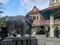 Potret Rumah Gajah Mungkur Berusia Satu Abad Lebih