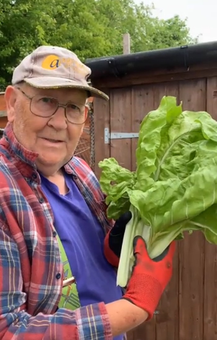 Sayur dan buah raksasa