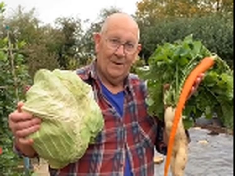 Unik! Pria Ini Sukses Panen Sayur dan Buah Raksasa di Halaman Rumah