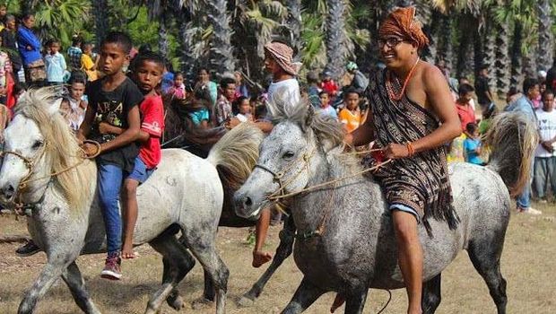 Kuda Sabu NTT (Pinterest)