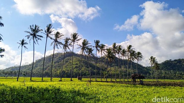 Kulineran fi Desa Tempos, Lombok Barat, Minggu (21/9/2025). (Ahmad Viqi/detikBali).