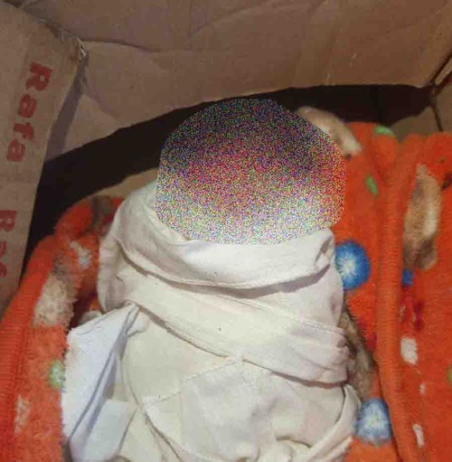 Mayat bayi ditemukan dalam kardus di Warung depan SPPBE Dusun Beremi, Desa Jagaraga, Kecamatan Kuripan, Lombok Barat. (Dok. Polsek Kuripan)