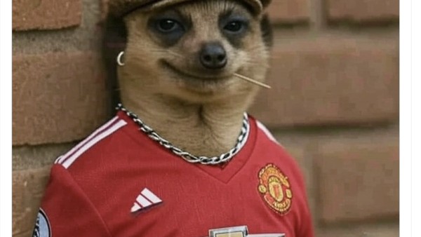 Meme Chelsea Juara Dunia Tapi Dilibas Manchester United