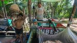 Mengintip Proses Tradisional Perajin Kendari Olah Tepung Sagu