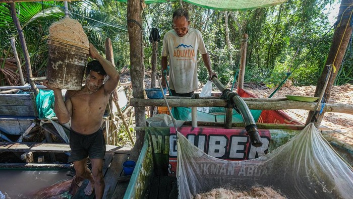 Perajin memeras sari patih sagu dengan alat tradisional di Kelurahan Tondonggeu, Kendari, Sulawesi Tenggara, Sabtu (20/9/2025). Menurut perajn, sebatang pohon sagu mampu menghasilkan hingga 500 kilogram tepung sagu dengan proses pengendapan selama tiga hari agar siap dijual ke pasar tradisional dan luar provinsi dengan harga Rp2.600 per kilogram sebagai makanan pengganti nasi atau olahan lainnya. ANTARA FOTO/Andry Denisah