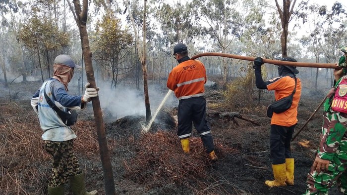 Pemadaman karhutla di Muara Enim oleh satgas darat.