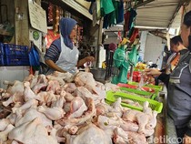 Harga Ayam Potong di Musi Rawas Naik Dipicu Stok Berkurang
