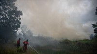 Pemadaman ini sekaligus menjadi peringatan akan tingginya potensi kebakaran hutan dan lahan (karhutla) di musim kemarau. ANTARA FOTO/Nova Wahyudi
