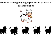 Punya IQ di atas Rata-rata? Coba Dulu Pecahkan soal Ini dalam 5 Detik!