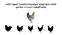 Temukan bayangan yang cocok untuk ayam ini hanya dalam sekali kedip. Clue: lihat arah kaki dan bentuk ekor. (Foto: Aida Adha Siregar/detikHealth)