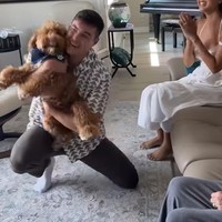 Saat berlari keluar terlihat jelas anjing Aurelie dan Tyler itu mengenakan kalung bandana berwarna biru. Hal itu menandakan bahwa Aurelie dan Tyler akan segera menimang anak laki-laki. Foto: Instagram/@aurelie