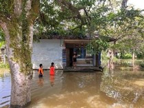 Banjir Landa 9 Kabupaten di Kalteng, 4.528 KK Terdampak