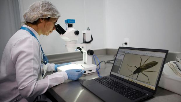 Employees work on cages of Aedes aegypti mosquitoes with the dengue-blocking Wolbachia bacteria at a laboratory in the Wolbito do Brasil plant in Curitiba, Parana state, Brazil September 1, 2025. REUTERS/Rodolfo Buhrer