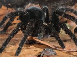 Deretan Foto Punya Cerita Mengejutkan hingga Mengerikan