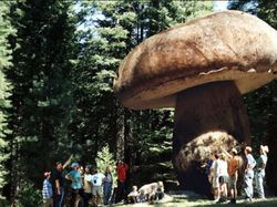 Deretan Foto Punya Cerita Mengejutkan hingga Mengerikan