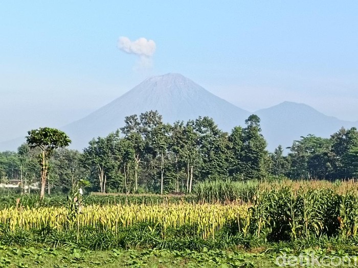Gunung Semeru erupsi