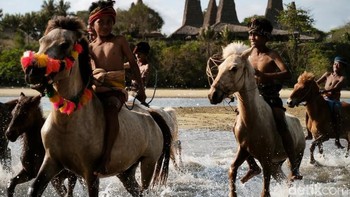 Desa ini berjarak dari Tambolaka, ibukota Kabupaten Sumba Barat Daya sejauh 56 kilometer. Foto: Anggoro Suryo Jati/detikINET